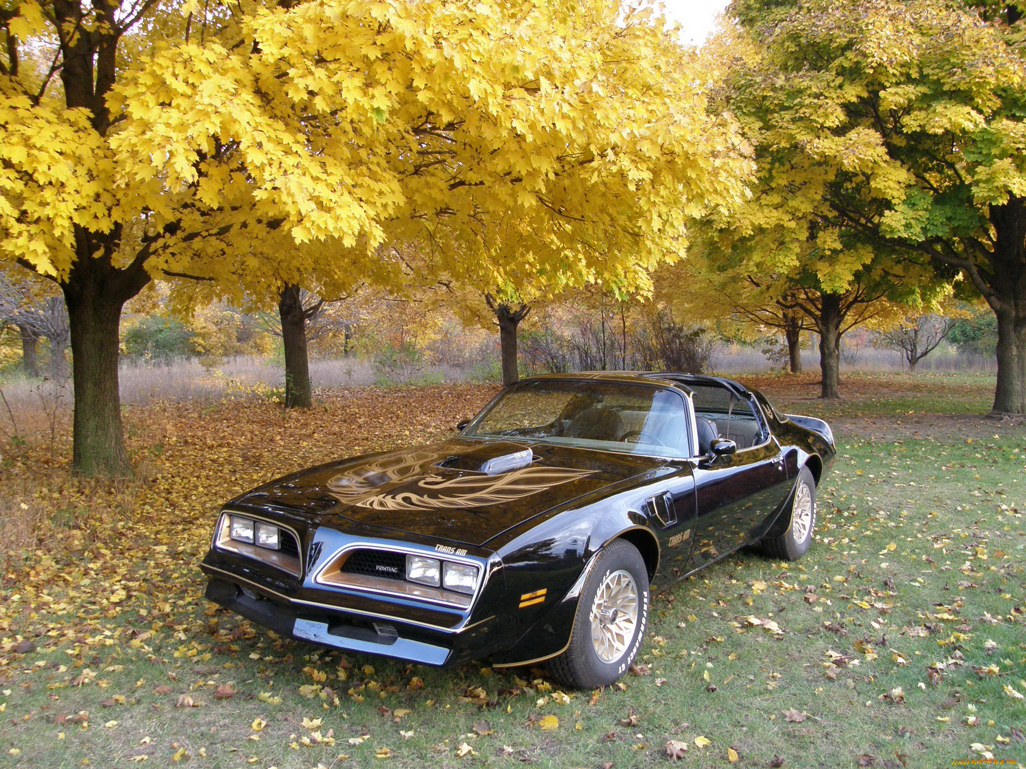 , pontiac